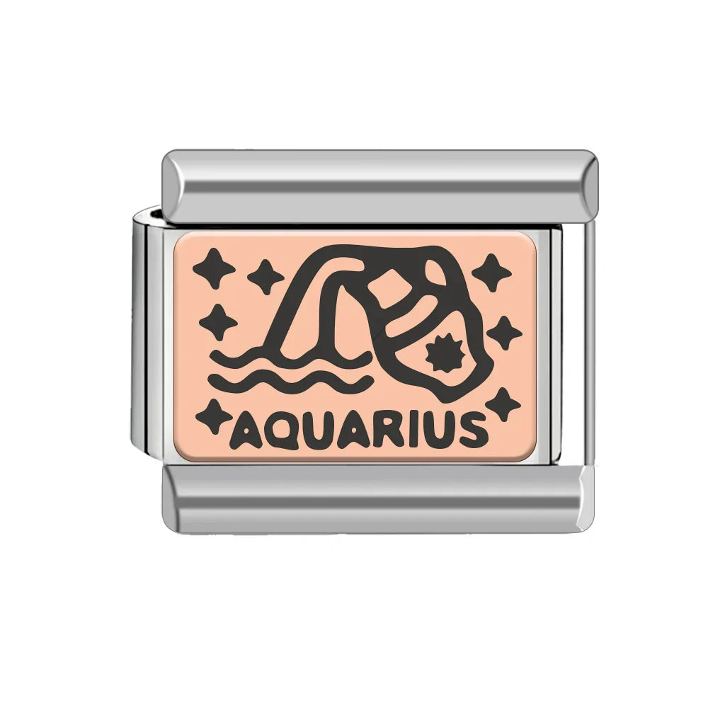 Aquarius charm